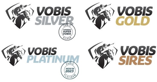 VOBIS Logos 1
