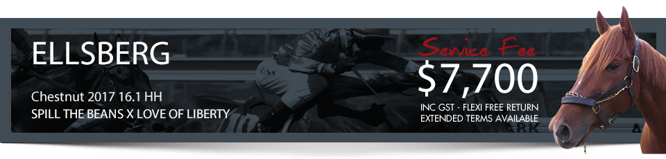 BOM header Ellberg