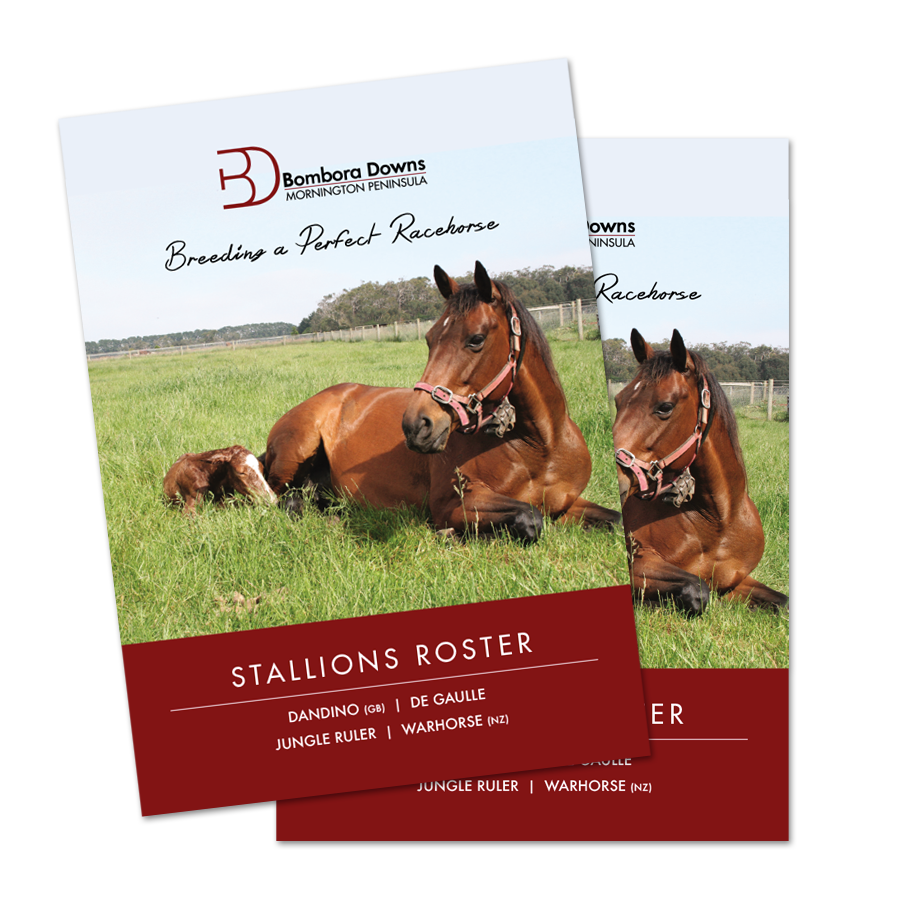 stallion broch 2016