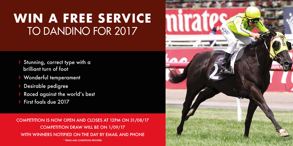 Free DANDINO service fee 2